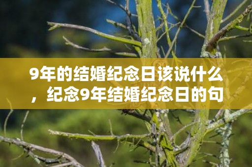 9年的结婚纪念日该说什么，纪念9年结婚纪念日的句子简短一点？结婚纪念日调侃的句子