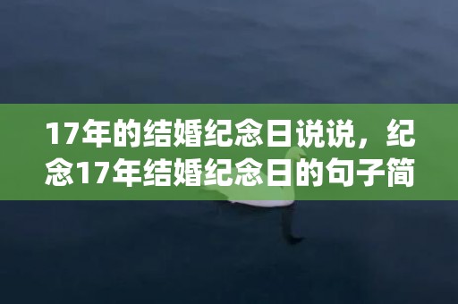 17年的结婚纪念日说说，纪念17年结婚纪念日的句子简短一点(结婚纪念日最感人话语)