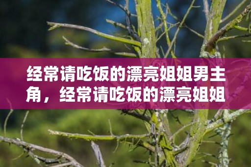 经常请吃饭的漂亮姐姐男主角，经常请吃饭的漂亮姐姐什么时候开拍 请吃饭的姐姐嘉宾有谁