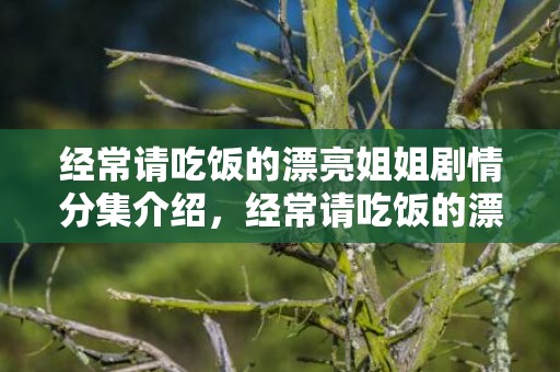 经常请吃饭的漂亮姐姐剧情分集介绍，经常请吃饭的漂亮姐姐主演是谁