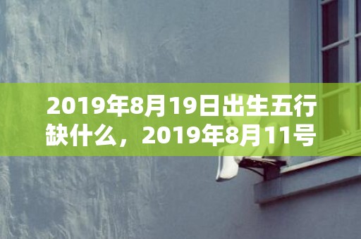 2019年8月19日出生五行缺什么，2019年8月11号出生的双胞胎女孩起什么名字比较好，五行属什么？