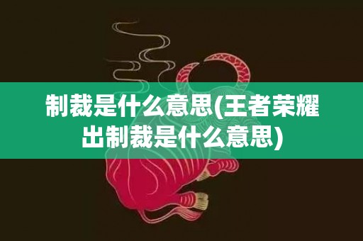 制裁是什么意思(王者荣耀出制裁是什么意思)