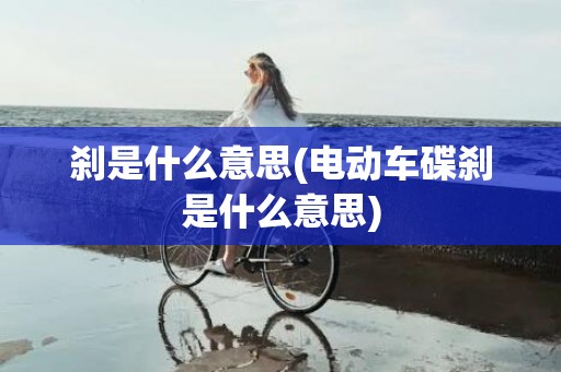 刹是什么意思(电动车碟刹是什么意思)