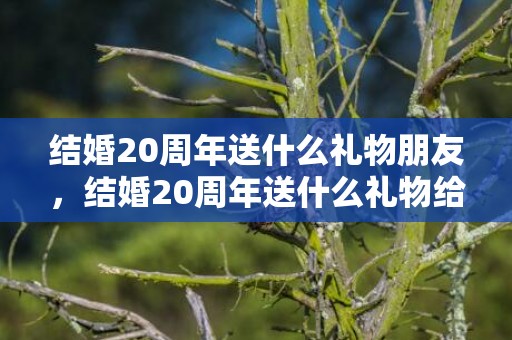 结婚20周年送什么礼物朋友，结婚20周年送什么礼物给老婆好呢？二十周年结婚纪念日送什么礼物