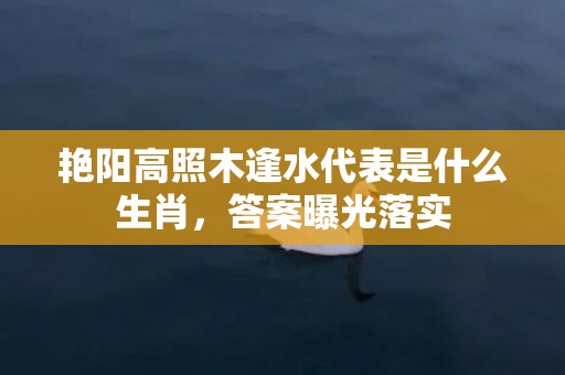 艳阳高照木逢水代表是什么生肖，答案曝光落实