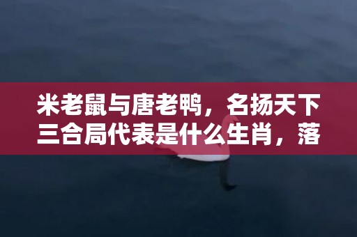 米老鼠与唐老鸭，名扬天下三合局代表是什么生肖，落实词语解释