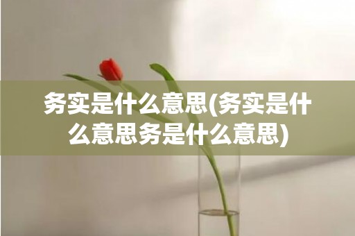 务实是什么意思(务实是什么意思务是什么意思)