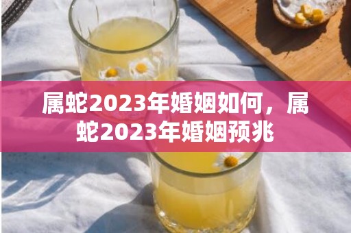 属蛇2023年婚姻如何，属蛇2023年婚姻预兆