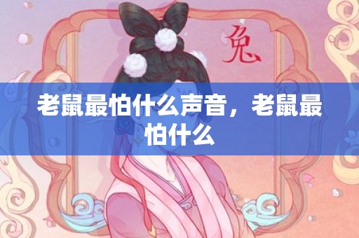 老鼠最怕什么声音，老鼠最怕什么