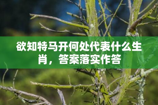 欲知特马开何处代表什么生肖，答案落实作答