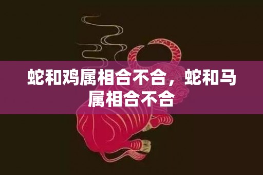 蛇和鸡属相合不合，蛇和马属相合不合