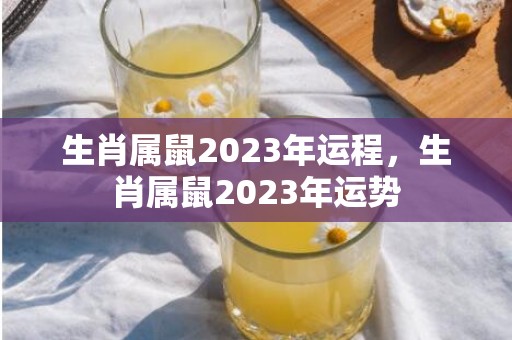 生肖属鼠2023年运程，生肖属鼠2023年运势