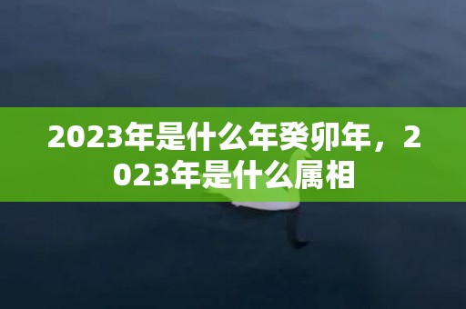 2023年是什么年癸卯年，2023年是什么属相