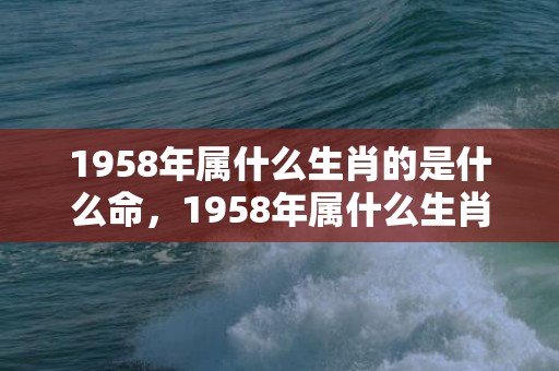 1958年属什么生肖的是什么命，1958年属什么生肖属相