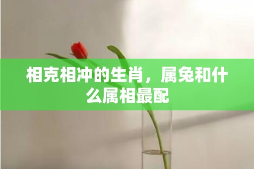 相克相冲的生肖，属兔和什么属相最配