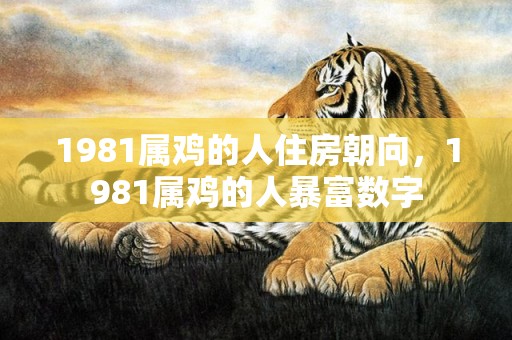 1981属鸡的人住房朝向，1981属鸡的人暴富数字