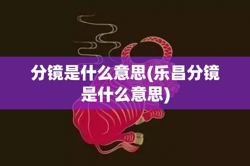 分镜是什么意思(乐昌分镜是什么意思)