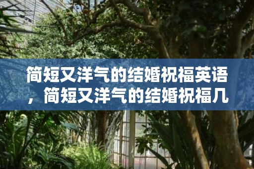 简短又洋气的结婚祝福英语，简短又洋气的结婚祝福几个字成语 新婚八个字高雅祝福语