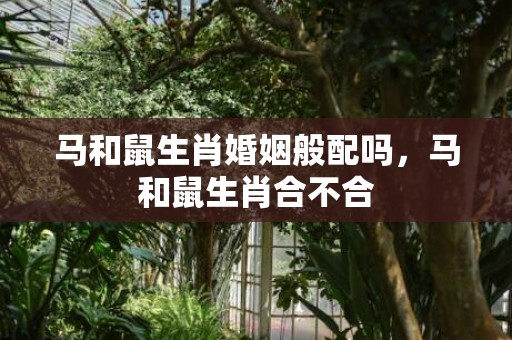 马和鼠生肖婚姻般配吗，马和鼠生肖合不合