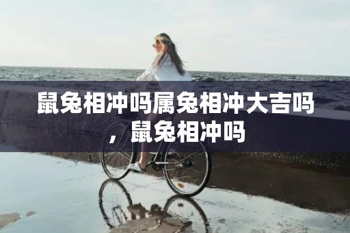 鼠兔相冲吗属兔相冲大吉吗，鼠兔相冲吗