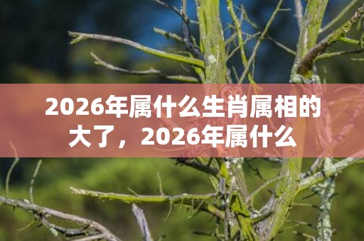 2026年属什么生肖属相的大了，2026年属什么