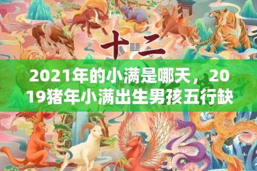 2021年的小满是哪天，2019猪年小满出生男孩五行缺水要怎么起名字