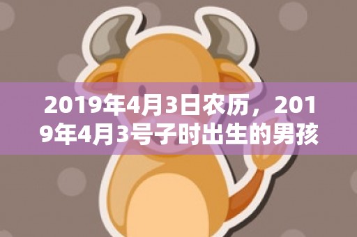 2019年4月3日农历，2019年4月3号子时出生的男孩要怎么起名字