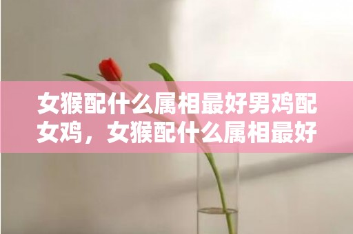 女猴配什么属相最好男鸡配女鸡，女猴配什么属相最好