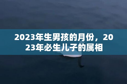 2023年生男孩的月份，2023年必生儿子的属相