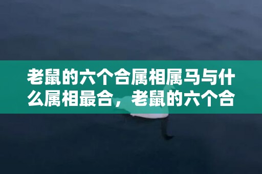 老鼠的六个合属相属马与什么属相最合，老鼠的六个合属相是什么