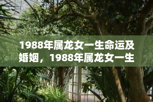 1988年属龙女一生命运及婚姻，1988年属龙女一生有几次婚姻