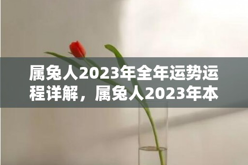 属兔人2023年全年运势运程详解，属兔人2023年本命年运势