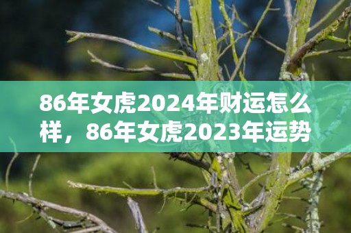 86年女虎2024年财运怎么样，86年女虎2023年运势及运程