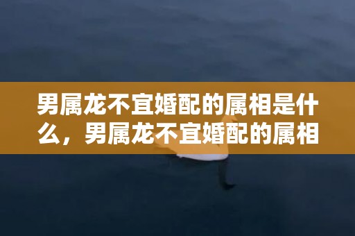 男属龙不宜婚配的属相是什么，男属龙不宜婚配的属相