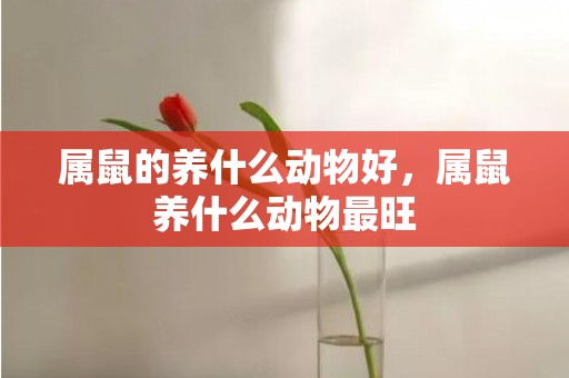 属鼠的养什么动物好，属鼠养什么动物最旺