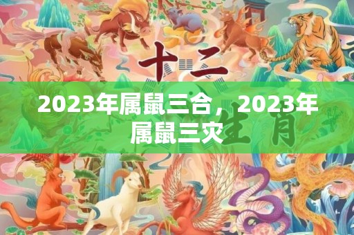 2023年属鼠三合，2023年属鼠三灾