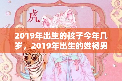 2019年出生的孩子今年几岁，2019年出生的姓杨男孩如何起名，宜用什么字