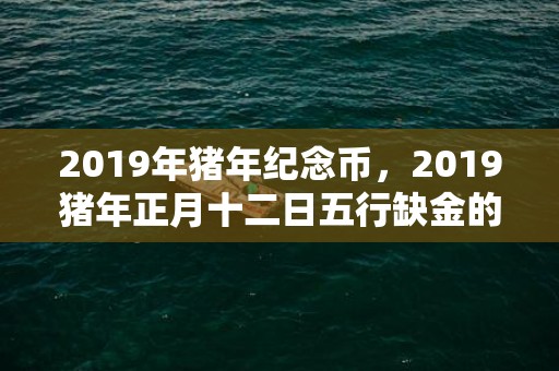 2019年猪年纪念币，2019猪年正月十二日五行缺金的女孩起名