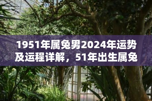 1951年属兔男2024年运势及运程详解，51年出生属兔人2024全年每月运势男性，1951年属兔男2024年运势及运程详解，51年出生属兔人2024全年每月运势男性