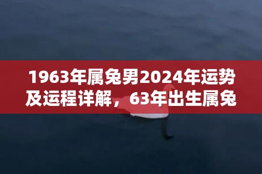 1963年属兔男2024年运势及运程详解，63年出生属兔人2024全年每月运势男性，1963年属兔男2024年运势及运程详解，63年出生属兔人2024全年每月运势男性