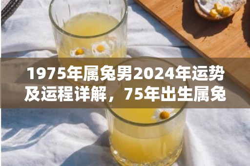 1975年属兔男2024年运势及运程详解，75年出生属兔人2024全年每月运势男性，1975年属兔男2024年运势及运程详解，75年出生属兔人2024全年每月运势男性