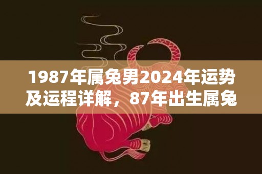 1987年属兔男2024年运势及运程详解，87年出生属兔人2024全年每月运势男性，1987年属兔男2024年运势及运程详解，87年出生属兔人2024全年每月运势男性