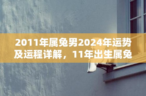 2011年属兔男2024年运势及运程详解，11年出生属兔人2024全年每月运势男性，2011年属兔男2024年运势及运程详解，11年出生属兔人2024全年每月运势男性