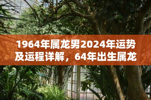 1964年属龙男2024年运势及运程详解，64年出生属龙人2024全年每月运势男性，1964年属龙男2024年运势及运程详解，64年出生属龙人2024全年每月运势男性