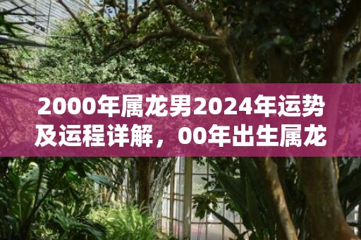 2000年属龙男2024年运势及运程详解，00年出生属龙人2024全年每月运势男性，2000年属龙男2024年运势及运程详解，00年出生属龙人2024全年每月运势男性