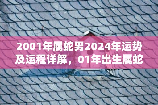 2001年属蛇男2024年运势及运程详解，01年出生属蛇人2024全年每月运势男性，2001年属蛇男2024年运势及运程详解，01年出生属蛇人2024全年每月运势男性