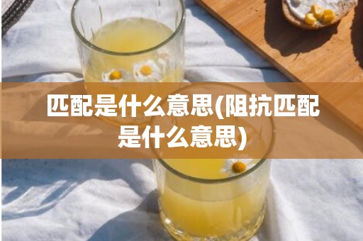 匹配是什么意思(阻抗匹配是什么意思)