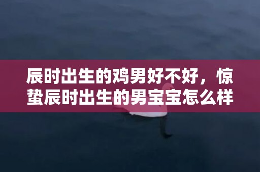 辰时出生的鸡男好不好，惊蛰辰时出生的男宝宝怎么样起名字，用什么字好