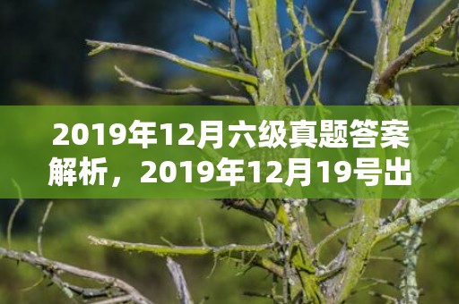 2019年12月六级真题答案解析，2019年12月19号出生的双胞胎男孩怎么起名，五行属什么