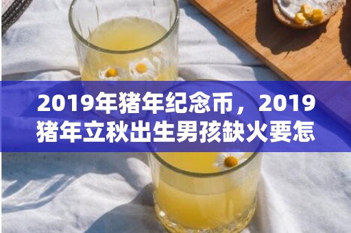 2019年猪年纪念币，2019猪年立秋出生男孩缺火要怎么起名字